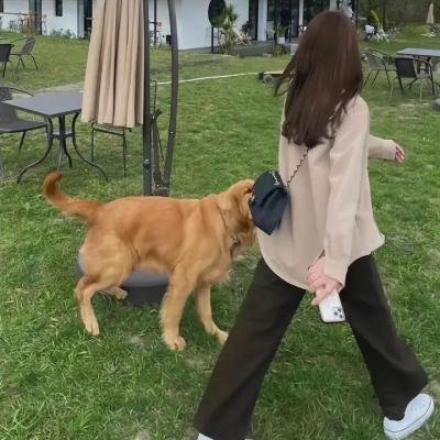 强扭瓜不甜